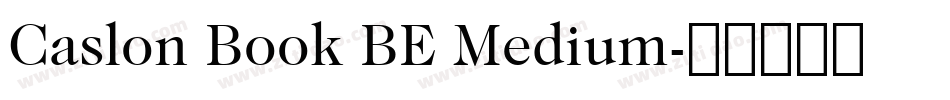 Caslon Book BE Medium字体转换